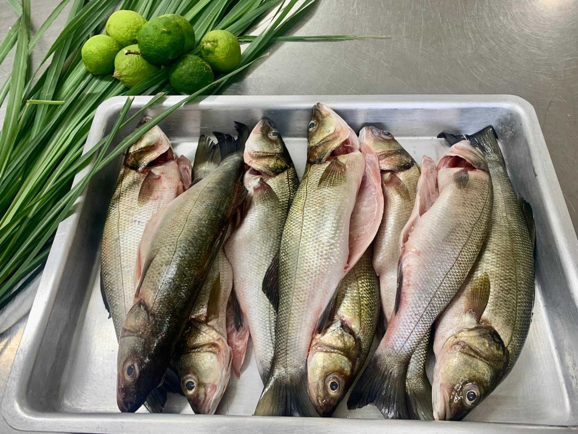 L'Hotel De Mon Pere Byblos Εξωτερικό φωτογραφία